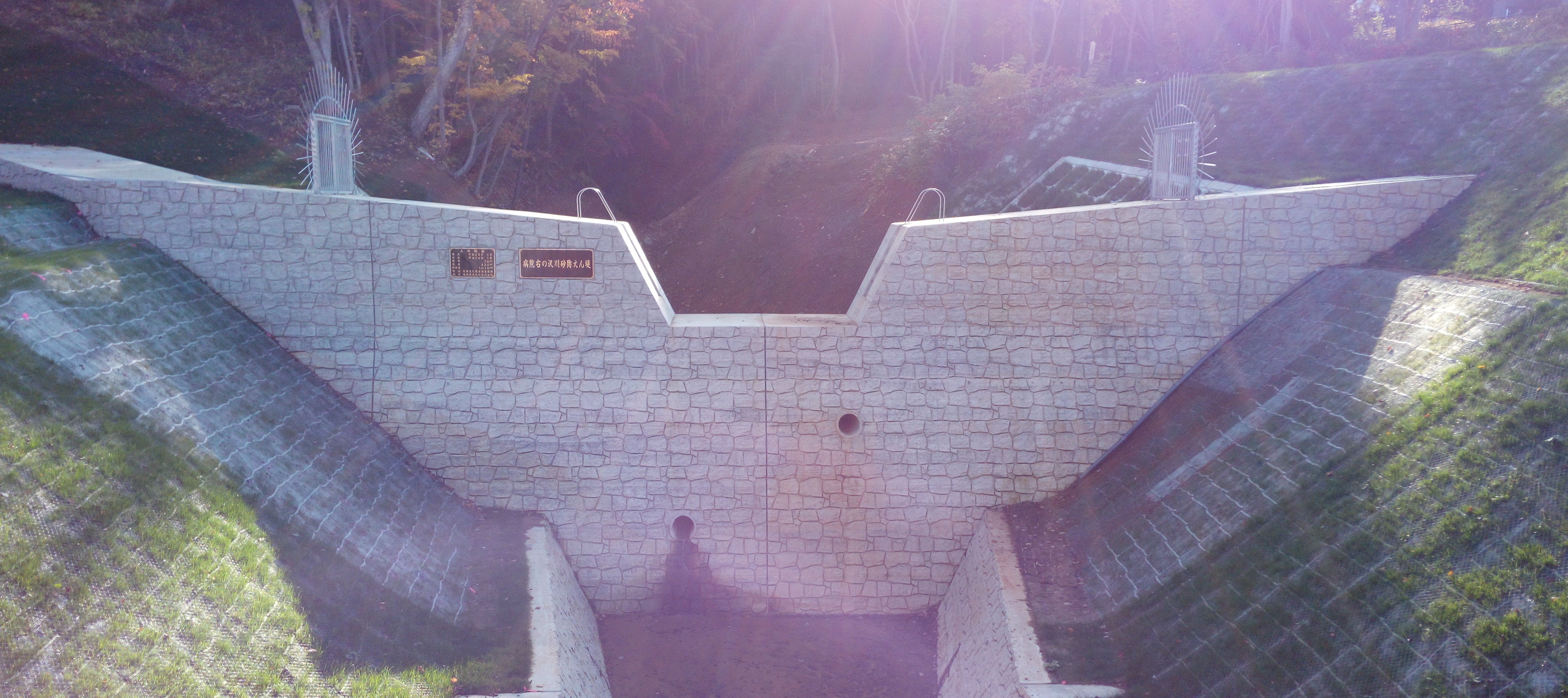 ������Д��`�݌v